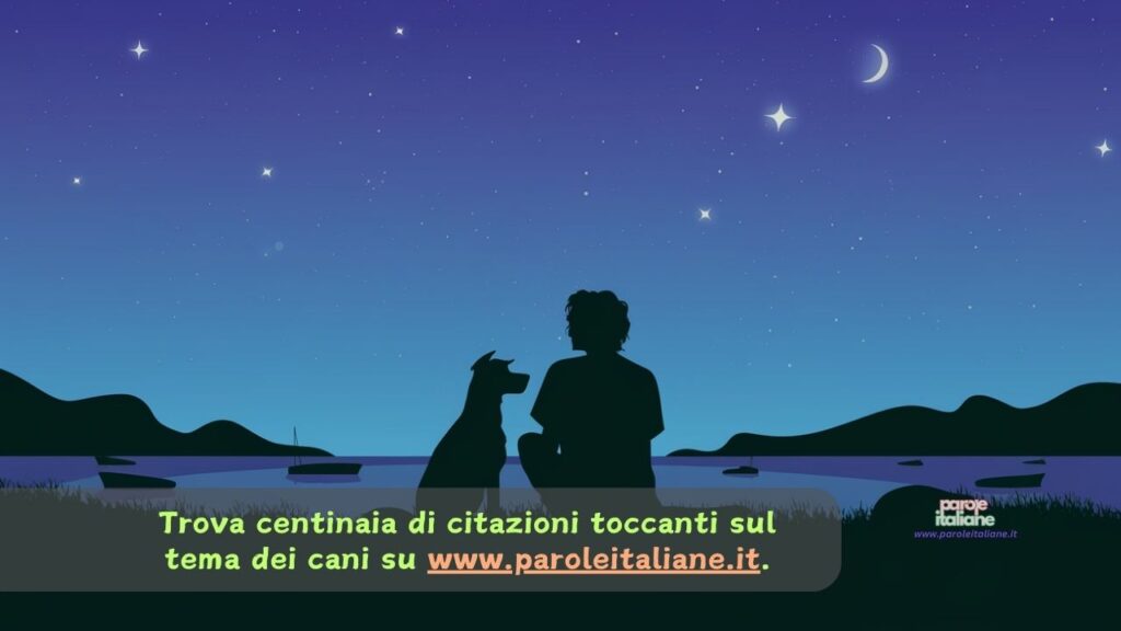 frasi belle quando muore un cane