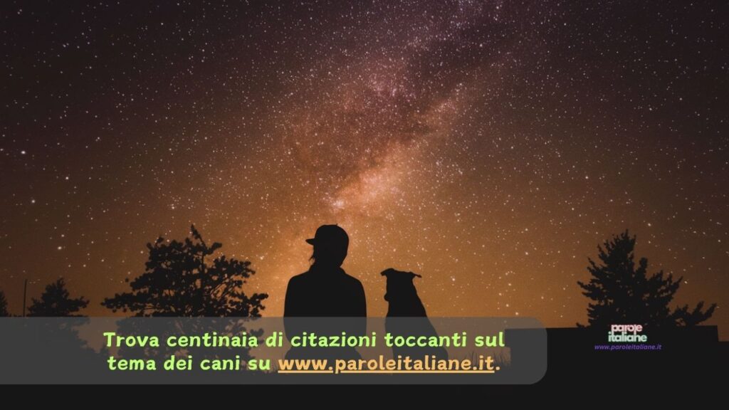 quando ti muore un cane frasi